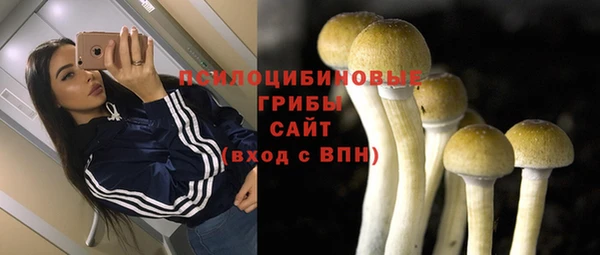 ешки Абинск