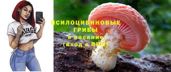 гашик Абдулино