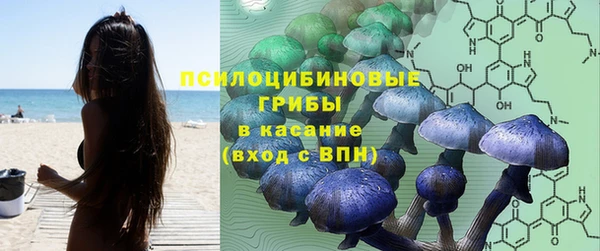 ешки Алзамай