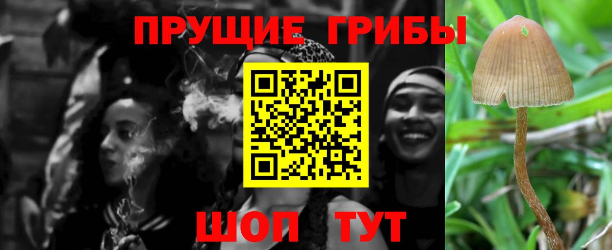 Губкин  Псилоцибиновые грибы мухоморы  Вход с VPN 